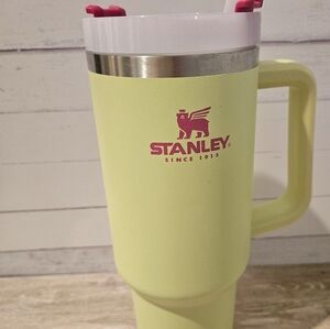 Stanley 40 oz tumbler, lime green & pink